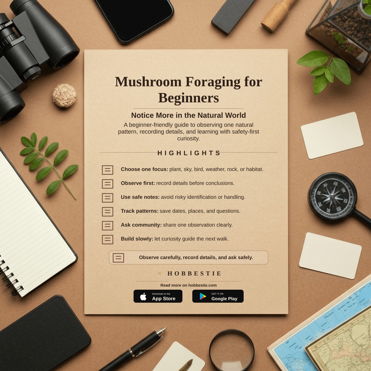 Hobbestie paper editorial summary graphic for Mushroom Foraging for Beginners: Your Safe Summer Start...